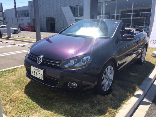 Volkswagen Golf ターボ　ダークパープル Volkswagen Golf ターボ ダークパープル Volkswagen Golf ターボ